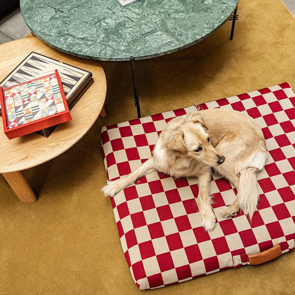 <h3><strong>Comfort First</strong></h3>