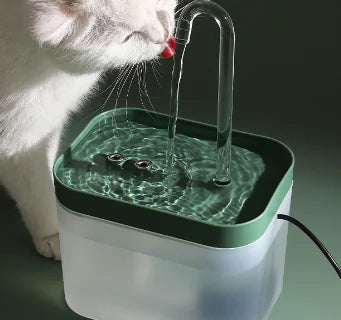 Automatic Cat Water Fountain with Filtration System